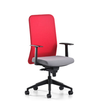 Comfy plastik ayaklı sabit kollu antrasit kırmızı çalışma koltuğu