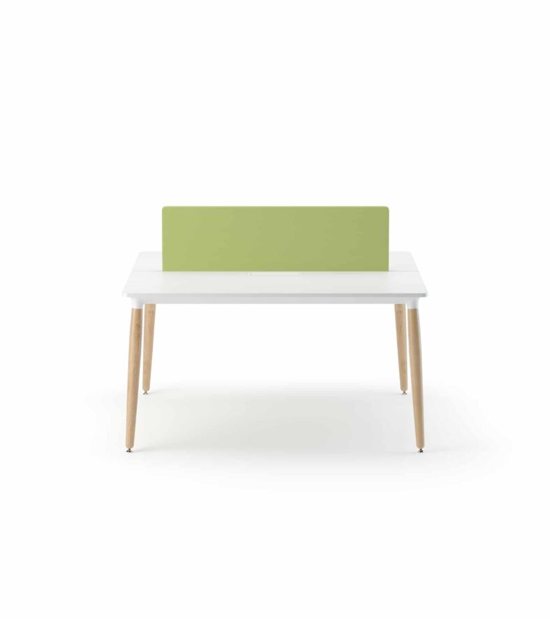 era ikili workstation 1